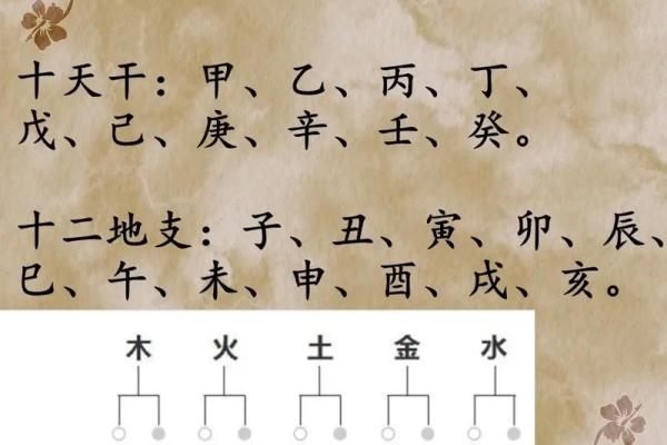 深入了解十天干与五行的关系