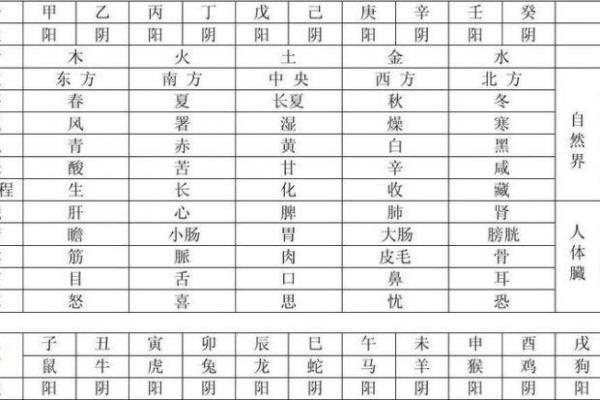 根据五行八字选杨字名字的最佳搭配