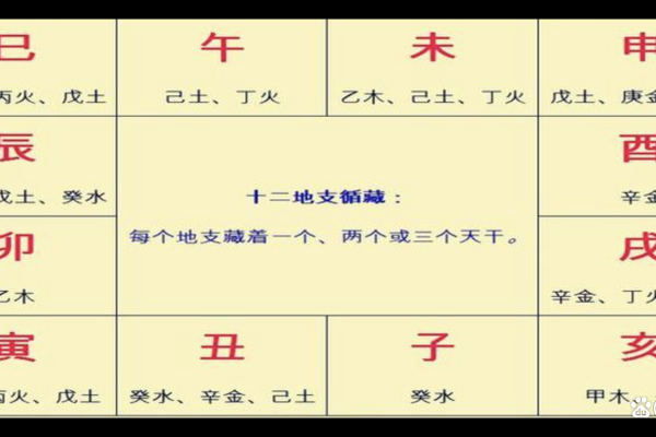 如何在问真八字官网免费下载八字命理工具