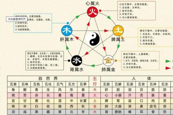 瑞五行属性解析：如何理解其与命理的关系