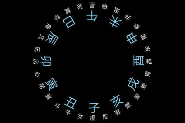 五行表在命理学中的应用与解读技巧