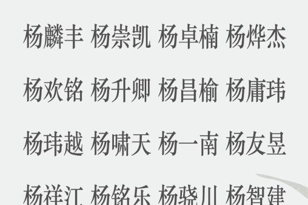 男宝宝起名字免费在线工具使用解析