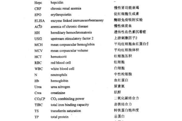 通字的五行属性解析与意义探讨