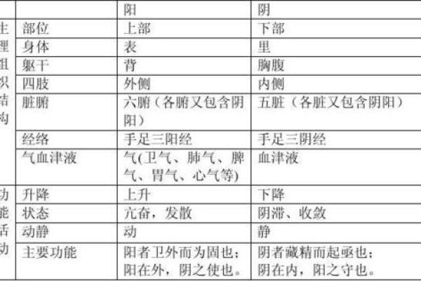 通字的五行属性解析与意义探讨