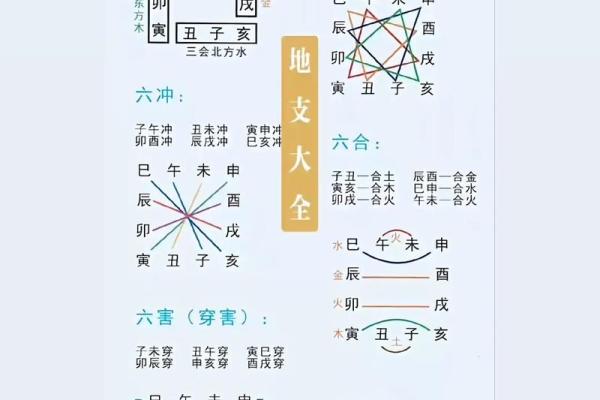 探究地支相合如何影响个人运势