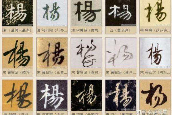 为姓杨的鸡宝宝选择一个有意义的名字