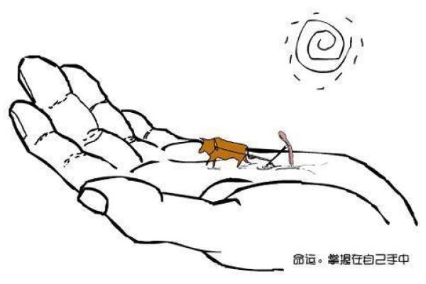 命理与人生：边学边聊寻找命运背后的规律