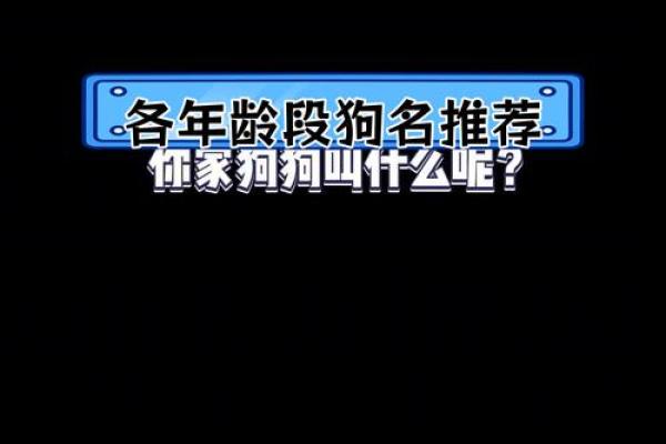 狗狗名字大全：给宠物起名字的创意与技巧