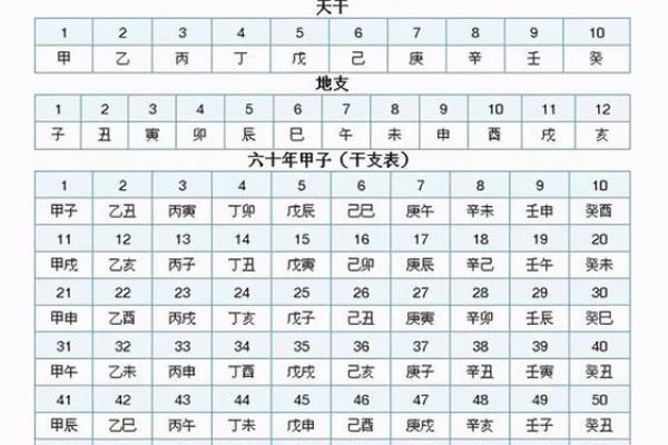 十二地支与一天二十四小时的时间对应关系解析