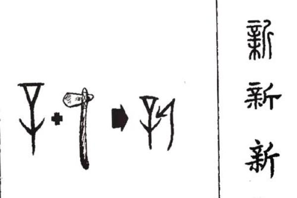 算名字的奥秘：如何选择最适合的名字