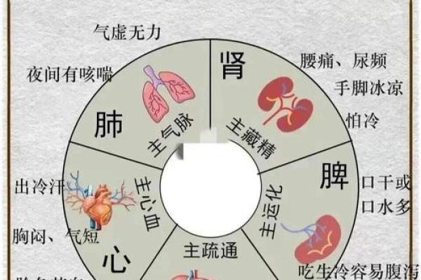 探索十二地支时辰与个人运势的关系