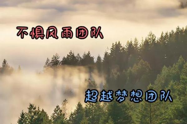 团队名字背后的故事：如何选一个代表团队精神的名称