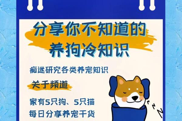 以狗狗性格为灵感的命名方式