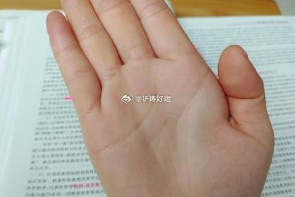 如何通过八字预测真踪PDF掌握命运走势