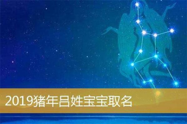猪年女孩取名禁忌与技巧 打造专属宝宝的美丽名字