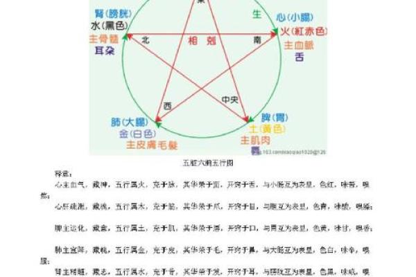 生辰八字如何影响五行平衡与命运解析
