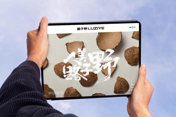 大气磅礴的商标名称创意，助力品牌脱颖而出