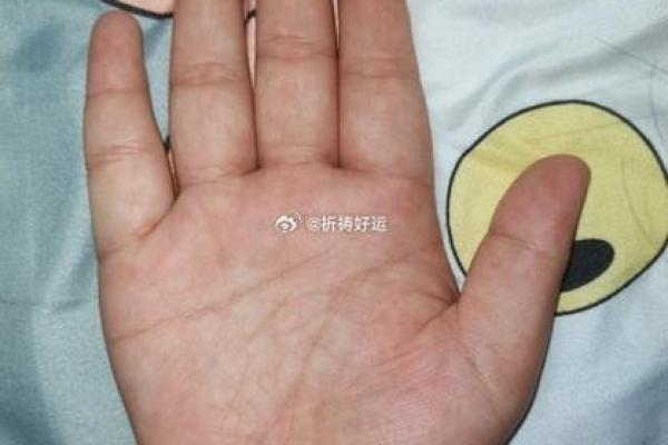 命理珍宝解析：发现你的命运密码