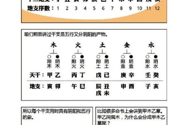 如何通过免费算命生辰八字揭示你的命运走向