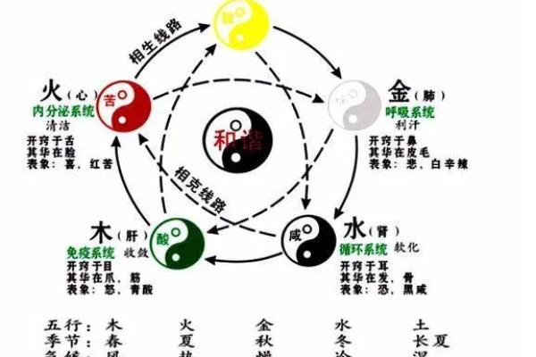十二天干与五行的深刻关系