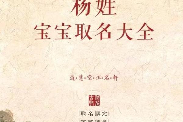 运用杨字取名，打造独特且有深意的名字