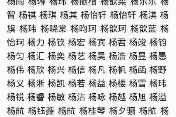 运用杨字取名，打造独特且有深意的名字