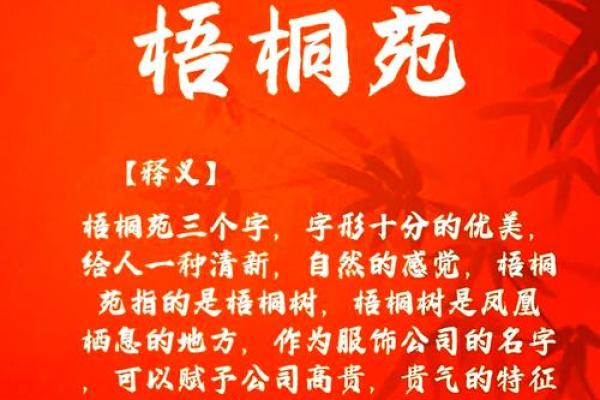 提升品牌形象，从一个独特的公司名字开始