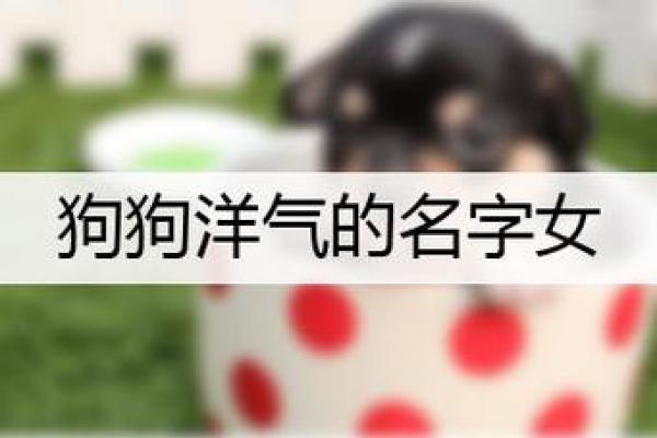 如何为你的狗狗挑选一个独特又有意义的名字