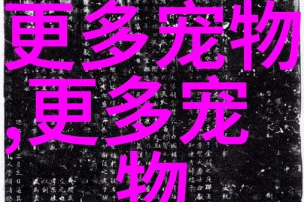 如何为你的狗狗挑选一个独特又有意义的名字