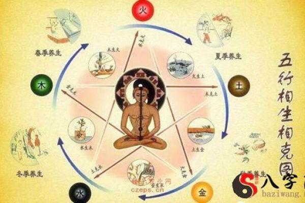 命理寻源：揭示五行八字背后的深层次关系