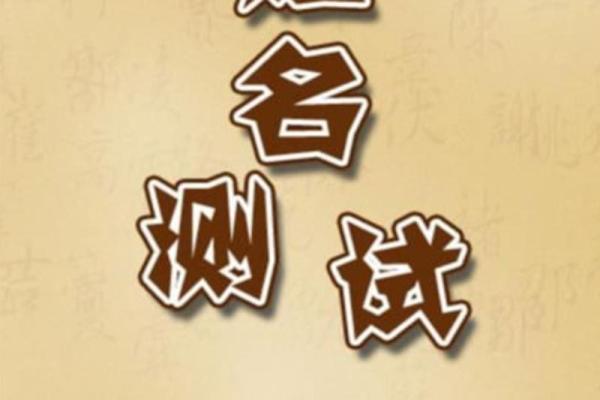 意与打分：为您的名字挑选提供专业建议
