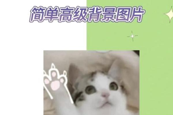 如何挑选好听的微信名字提升个人魅力