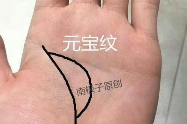 大拇指指纹手相揭示的个性与命运密码
