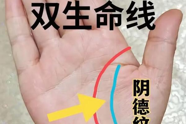 解密聚宝盆手相图解，财富运势一目了然