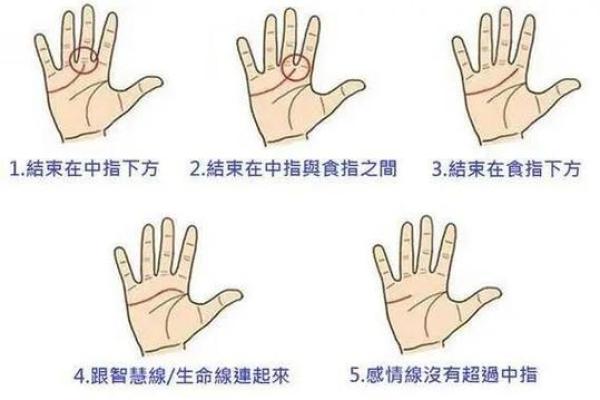 手相入门指南：解读生命线、智慧线和感情线的奥秘