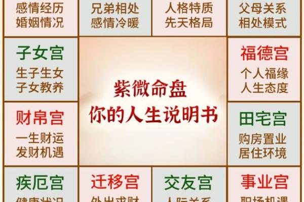 命理中比的象征意义与人生影响