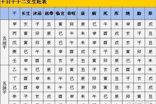 如何通过天干长生表理解个人命运趋势