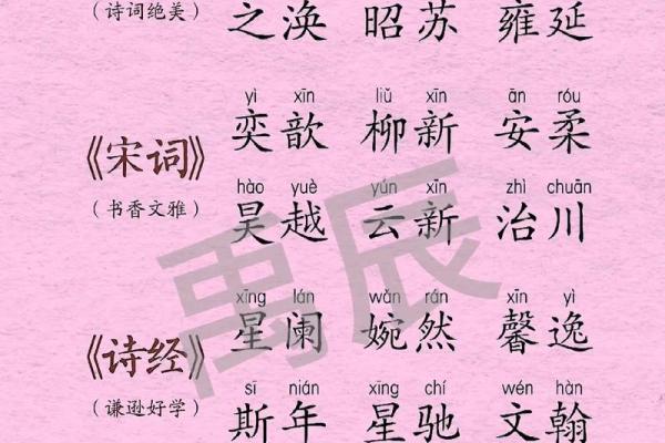 新生儿名字测评：打造一个既有意义又响亮的名字