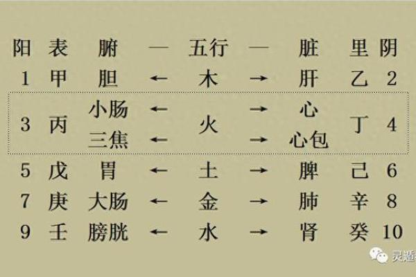 十天干与五行的关系对个人命运的影响