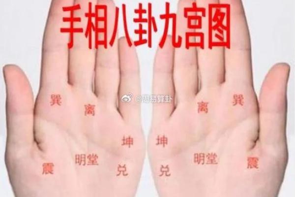如何通过男人左手手相预测未来运势