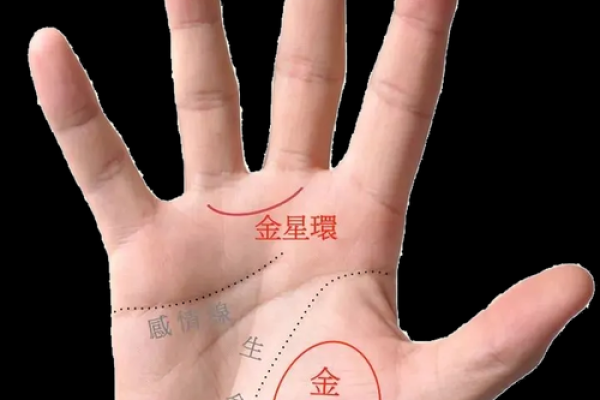 如何通过男人左手手相预测未来运势