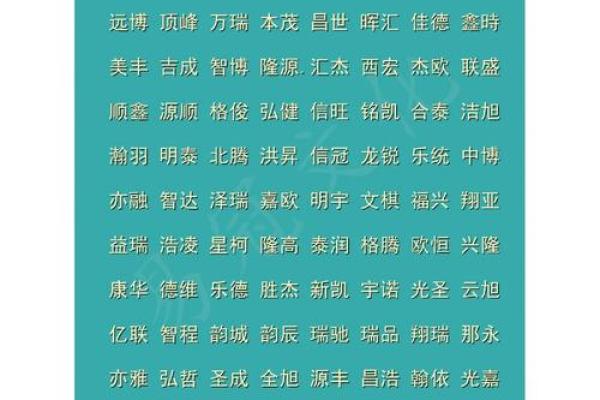 两个字名字的独特魅力：文化与实用性的完美平衡