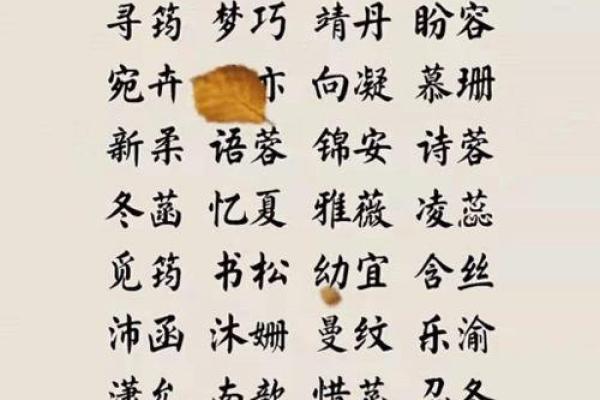 两个字名字的独特魅力：文化与实用性的完美平衡