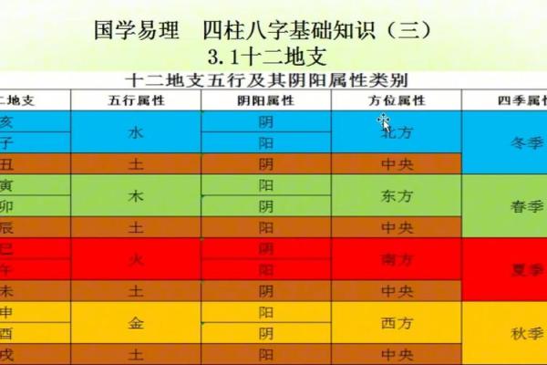 探究天干地支系统的独特性与区别