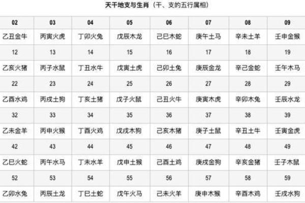 十二生肖与天干地支的神秘联系解析