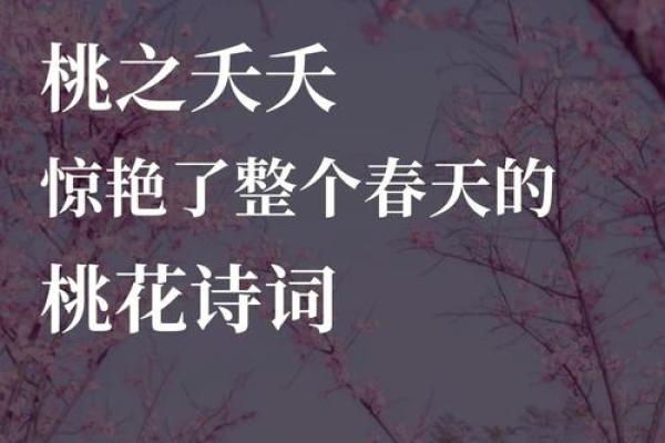探秘古代女子名字中的诗意与象征