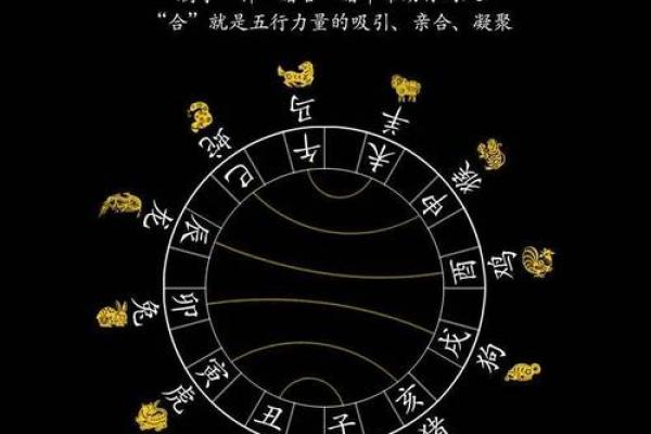 十二地支刑冲克害解析与命理影响深度剖析