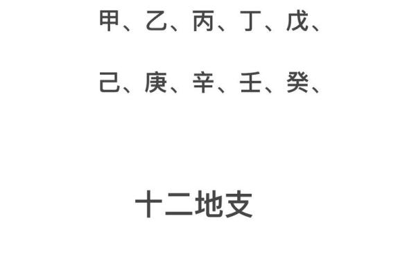 十二天干地支的起源与应用解析