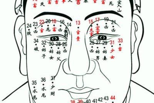 生辰八字解析：揭开命运的神秘面纱