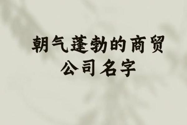 如何为贸易公司起一个既有创意又具影响力的名字